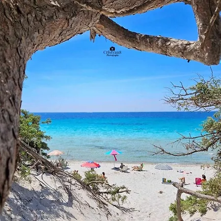 Gasthuis Typic Loft 3*