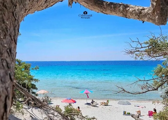 Affittacamere Typic Loft 3*